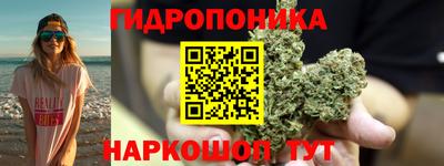 мяу мяу мука Апшеронск