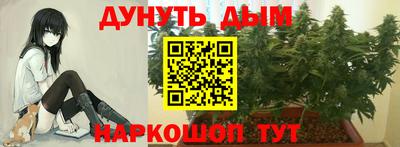 мяу мяу мука Апшеронск