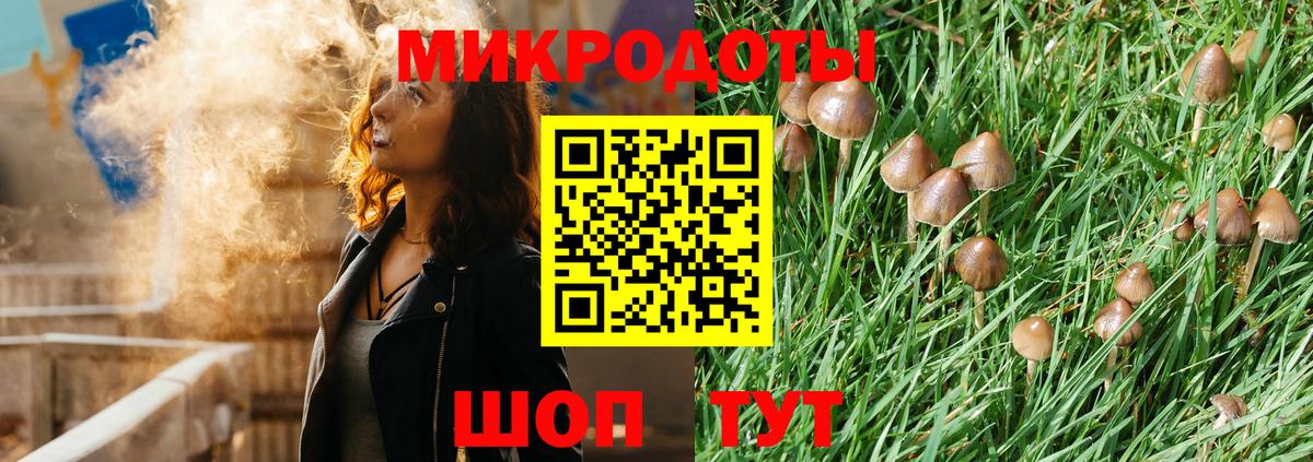 Владивосток  Галлюциногенные грибы GOLDEN TEACHER  Вход с VPN 